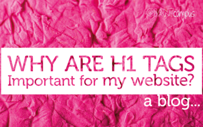 Why Are H1 Tags Important For My Website?